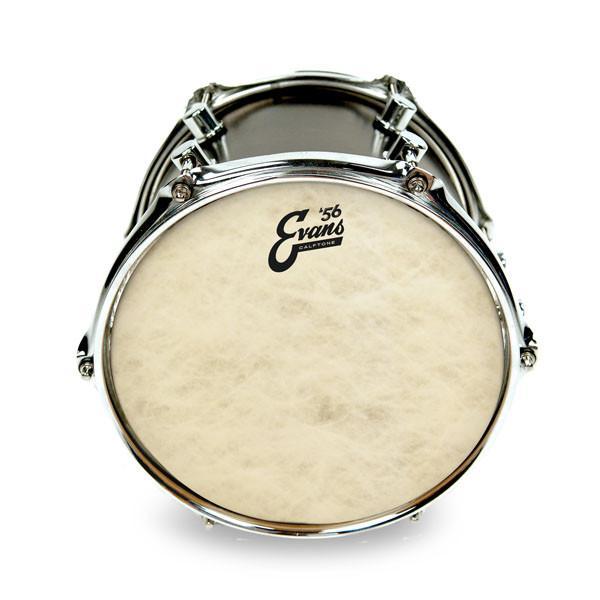 Evans Calftone Drum Head