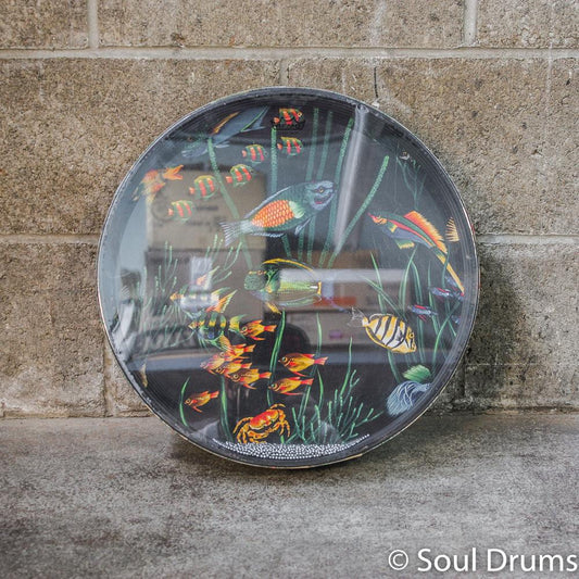 Remo Ocean Drum 16" w/ Fish Graphic