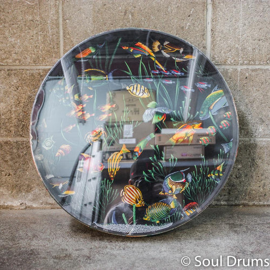 Remo Ocean Drum 22" w/ Fish Graphic