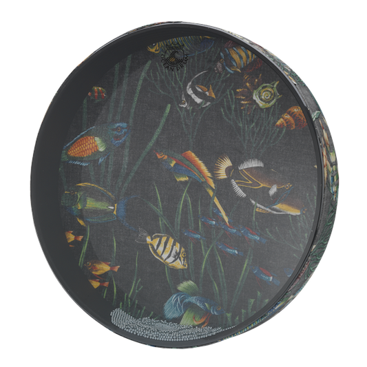 Remo Ocean Drum
