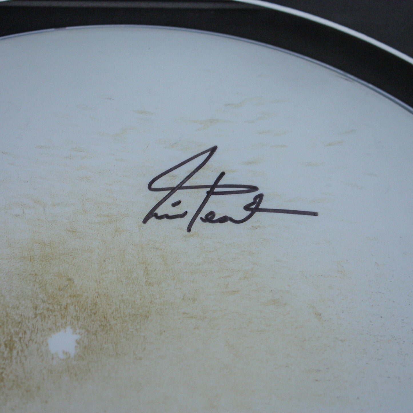 D.W. 6.5X14 VLT "Hockey Night In Canada" Maple Snare Drum with Neil Peart Tour used Sticks and Signed Head in Shadow Box