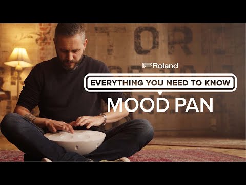 Roland MN-10 Mood Pan – Soul Drums